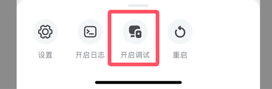 Debug菜单